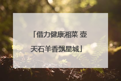 借力健康湘菜 壶天石羊香飘星城