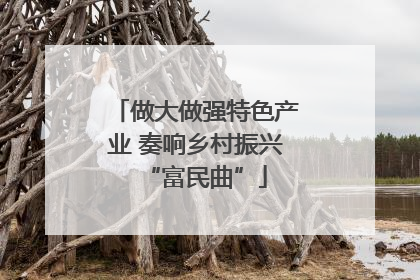 做大做强特色产业 奏响乡村振兴“富民曲”