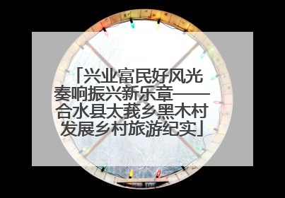 兴业富民好风光 奏响振兴新乐章——合水县太莪乡黑木村发展乡村旅游纪实