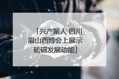 兴产聚人 四川眉山西博会上展示磅礴发展动能