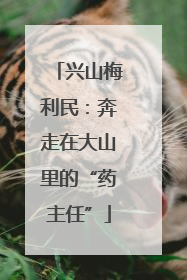 兴山梅利民：奔走在大山里的“药主任”