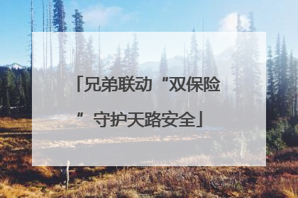 兄弟联动“双保险”守护天路安全