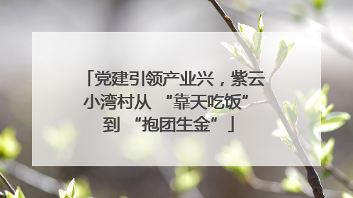 党建引领产业兴，紫云小湾村从 “靠天吃饭” 到 “抱团生金”