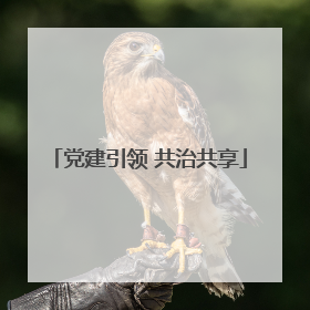 党建引领 共治共享