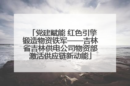 党建赋能 红色引擎锻造物资铁军——吉林省吉林供电公司物资部激活供应链新动能
