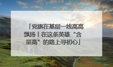 党旗在基层一线高高飘扬丨在这条英雄“含量高”的路上寻初心