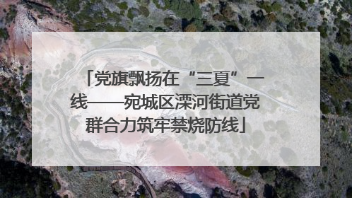 党旗飘扬在“三夏”一线——宛城区溧河街道党群合力筑牢禁烧防线
