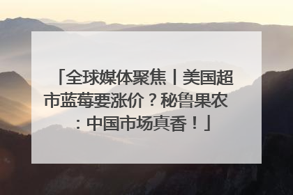 全球媒体聚焦丨美国超市蓝莓要涨价？秘鲁果农：中国市场真香！