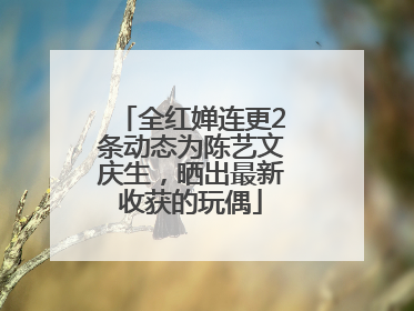 全红婵连更2条动态为陈艺文庆生，晒出最新收获的玩偶