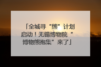全城寻“熊”计划启动！无锡博物院“博物熊抱集”来了