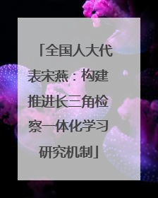 全国人大代表宋燕：构建推进长三角检察一体化学习研究机制