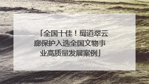 全国十佳！蜀道翠云廊保护入选全国文物事业高质量发展案例