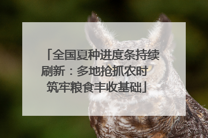 全国夏种进度条持续刷新：多地抢抓农时 筑牢粮食丰收基础
