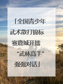 全国青少年武术散打锦标赛鹿城开擂 “武林高手”强强对话