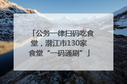 公务一律扫码吃食堂，潜江市130家食堂“一码通刷”