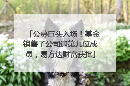 公募巨头入场！基金销售子公司迎第九位成员，易方达财富获批