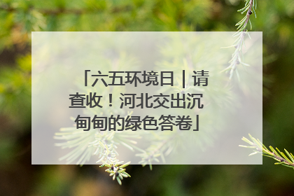 六五环境日｜请查收！河北交出沉甸甸的绿色答卷