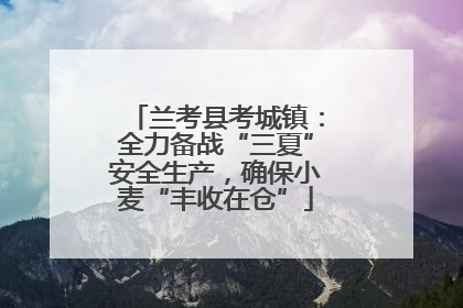 兰考县考城镇：全力备战“三夏”安全生产，确保小麦“丰收在仓”