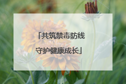 共筑禁毒防线 守护健康成长