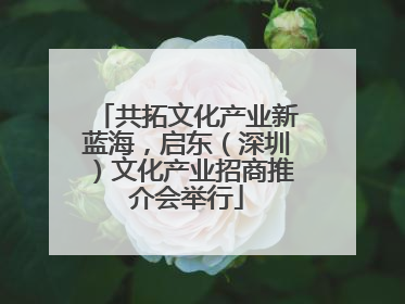 共拓文化产业新蓝海，启东（深圳）文化产业招商推介会举行