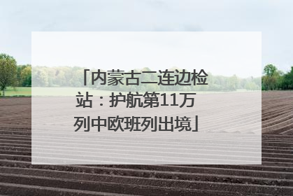 内蒙古二连边检站：护航第11万列中欧班列出境