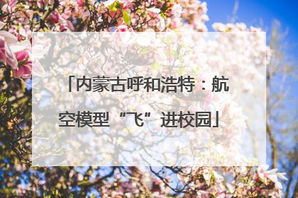 内蒙古呼和浩特：航空模型“飞”进校园