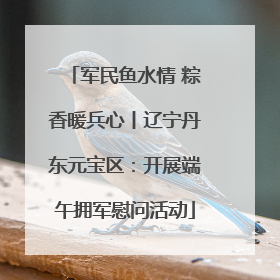 军民鱼水情 粽香暖兵心丨辽宁丹东元宝区：开展端午拥军慰问活动