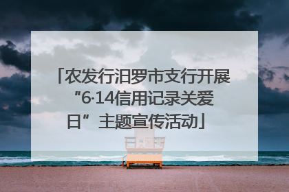 农发行汨罗市支行开展“6·14信用记录关爱日”主题宣传活动