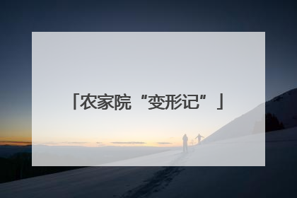 农家院“变形记”