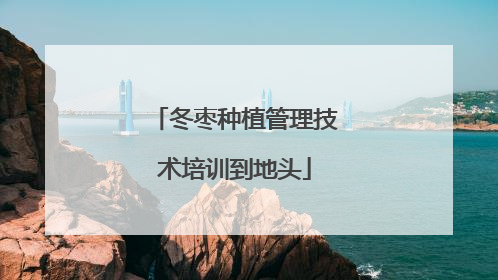 冬枣种植管理技术培训到地头