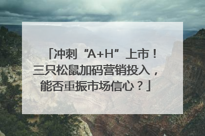 冲刺“A+H”上市！三只松鼠加码营销投入，能否重振市场信心？