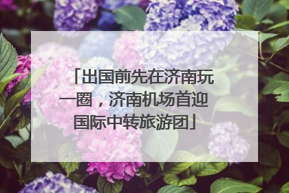 出国前先在济南玩一圈，济南机场首迎国际中转旅游团