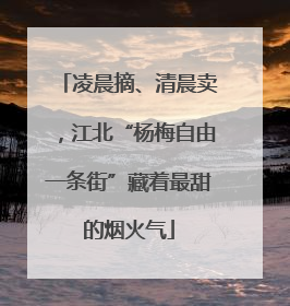 凌晨摘、清晨卖，江北“杨梅自由一条街”藏着最甜的烟火气