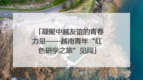 凝聚中越友谊的青春力量——越南青年“红色研学之旅”见闻