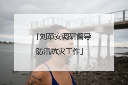 刘革安调研督导防汛抗灾工作