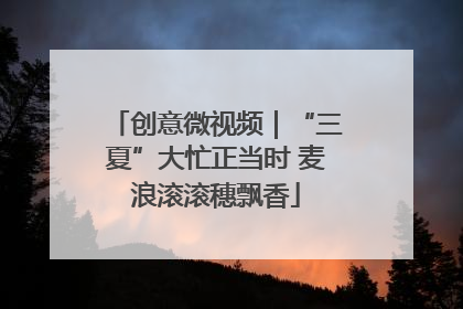 创意微视频｜“三夏”大忙正当时 麦浪滚滚穗飘香