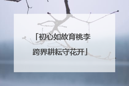 初心如故育桃李 跨界耕耘守花开