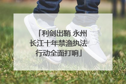 利剑出鞘 永州长江十年禁渔执法行动全面打响