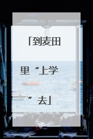 到麦田里“上学”去