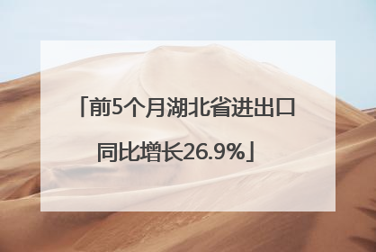 前5个月湖北省进出口同比增长26.9%