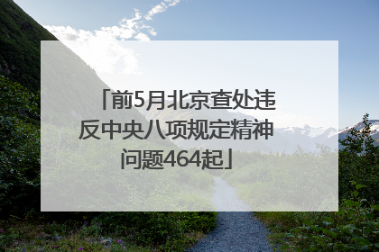 前5月北京查处违反中央八项规定精神问题464起