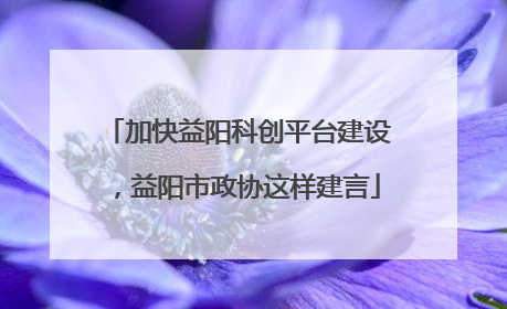 加快益阳科创平台建设，益阳市政协这样建言