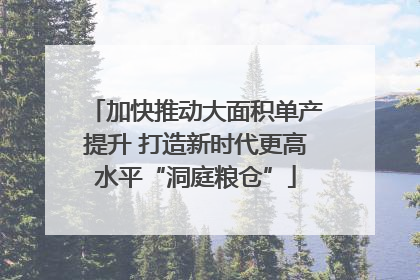 加快推动大面积单产提升 打造新时代更高水平“洞庭粮仓”