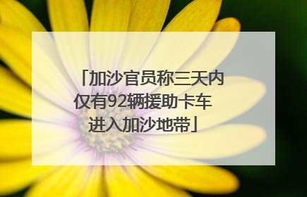 加沙官员称三天内仅有92辆援助卡车进入加沙地带