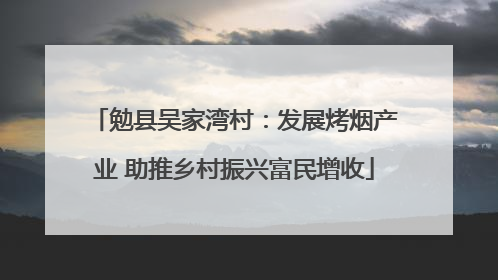 勉县吴家湾村：发展烤烟产业 助推乡村振兴富民增收