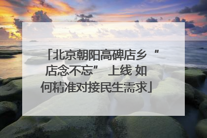 北京朝阳高碑店乡“店念不忘” 上线 如何精准对接民生需求