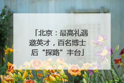 北京：最高礼遇邀英才，百名博士后“探路”丰台
