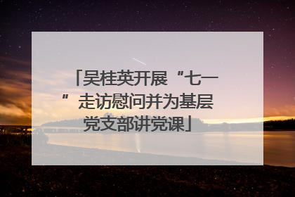 吴桂英开展“七一”走访慰问并为基层党支部讲党课