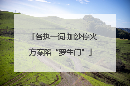 各执一词 加沙停火方案陷“罗生门”