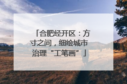 合肥经开区：方寸之间，细绘城市治理“工笔画”